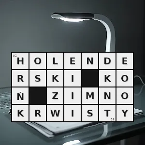 Hasło krzyżówkowe po holendersku - holenderski koń zimnokrwisty – rozwiązanie, synonimy, podpowiedzi i definicje krzyżówkowe